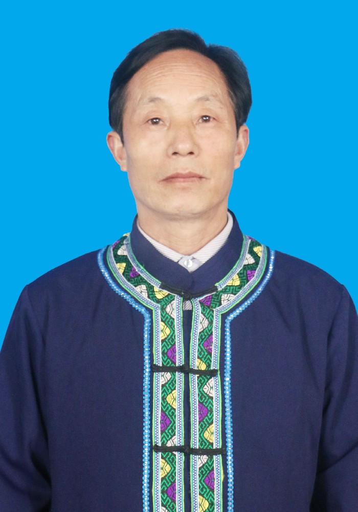 王祯明苗医苗药课题组副组长