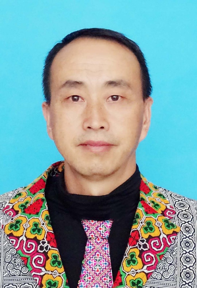 项连辉苗医苗药课题研究员