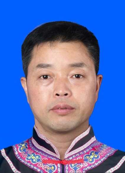 吴桐侗医侗药课题组研究员